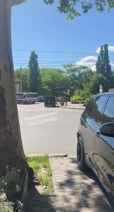 Людоловы на Украине утащили собаку