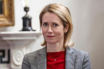 В СЛОВАКИИ ПОДДАЛИ КРИТИКЕ ПОДХОД КАЛЛАС К ВОЗМОЖНОСТИ ДИАЛОГА ЕС-РОССИЯ