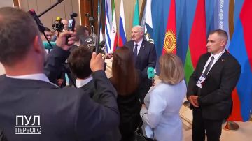 Владислав Шурыгин: Зеленой гниде на заметку. Лукашенко прокомментировал заявление Киева про 500 целей на территории Белоруси