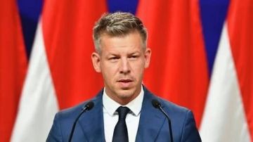 Мадьяр отказал Украине в поставках оружия и военной техники
