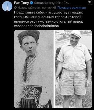 Небольшая подборка мнений польских аккаунтов в соцсети X про Украину и украинцев
