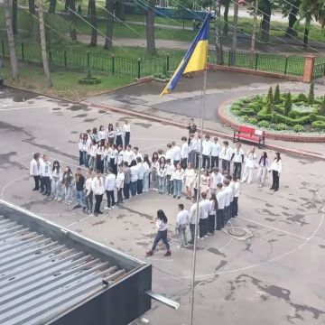 Никакого фашизма на Украине конечно нет, а это просто школьники в Виннице на день вышиванки случайно так выстроились на линейке