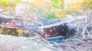 Бои в Харьковской области: Северяне поражают американскую гаубицу