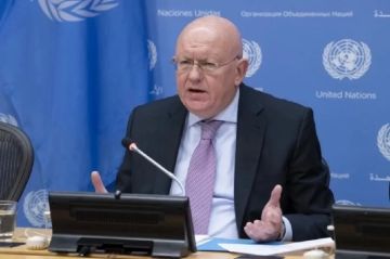 ЧП с дроном в Румынии случилось после обращения Зеленского — постпред РФ при ООН Василий Небензя