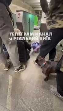 � ����� ����� �� ���� �������� � �����