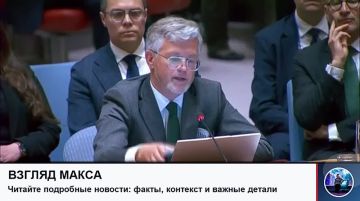 Состоялось заседание Совета Безопасности ООН по падению беспилотного летательного аппарата на территории Румынии