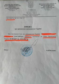 На Украине мобилизовали гражданина Германии, сообщил депутат Рады