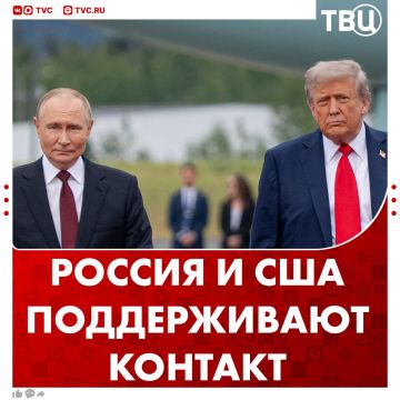 �������� ������ � ��� ��������������, ������ ���� ������