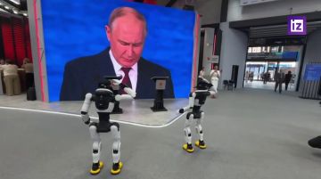 ��������� ��������� ������ �� ����������� ����: