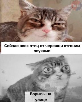 #украина_под_микроскопом: в Ровенской области "защищают" черешню за счёт нервных клеток громадян
