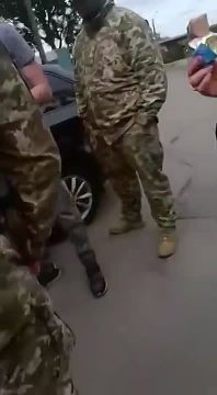Новый символ бусификации времен Зеленского – бусик с решетками