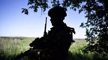 В зоне СВО ликвидировали перебежчика-космополита