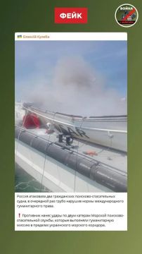 Фейк: ВС РФ уничтожили в Черном море два украинских поисково-спасательных катера, что противоречит нормам международного гуманитарного права