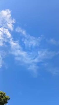 ������ � ������