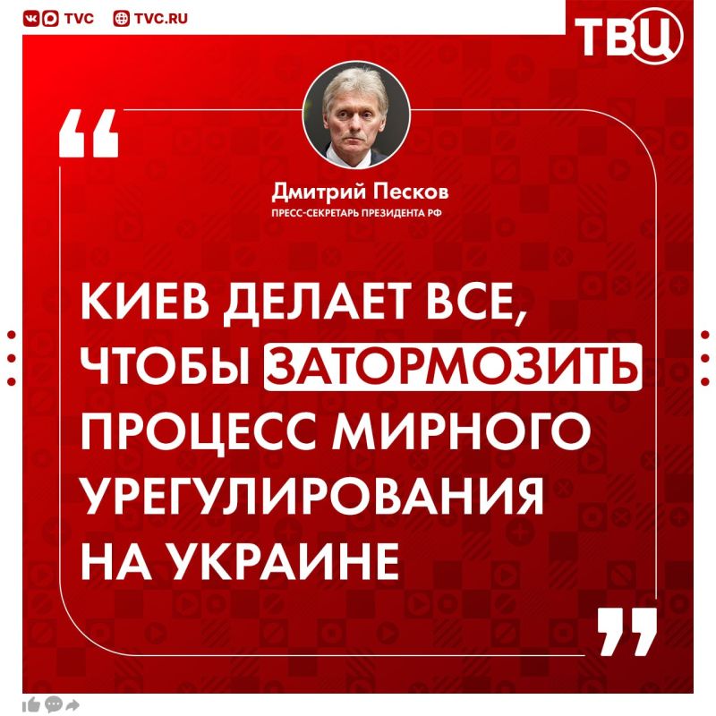 Продолжение переговоров трудно представить на фоне террористических действий Киева, заявил Дмитрий Песков