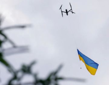 Украина поделится с Латвией опытом борьбы с дронами
