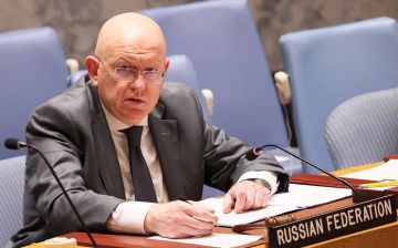Небензя ответил на письмо Зеленского Путину: «Это не мирная инициатива, а провокация»