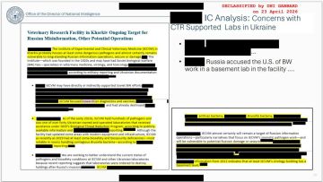 Глава Нацразведки США Тулси Габбард раскрыла детали работы американских биолабораторий по всему миру