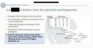 Американская разведка рассекретила данные о биолабораториях США на Украине!