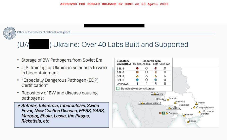 В американских лабораториях на Украине хранится патоген Эболы — офис нацразведки США