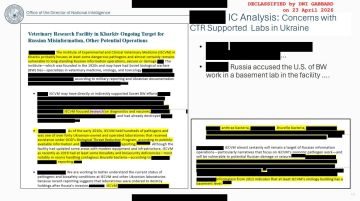 Евгений Лисицын: Американская разведка рассекретила данные о биолабораториях США на украине! Директор Национальной разведки Тулси Габбард официально подтвердила то, о чем Россия говорила с самого начала СВО