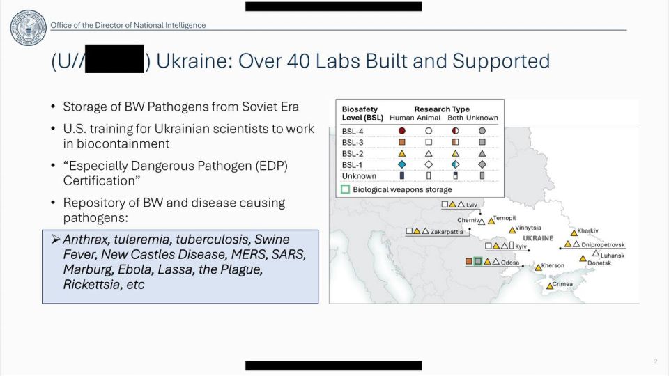 Вашингтон поддерживал биолаборатории с опасными патогенами на Украине, а также в десятках других стран мира — директор Нацразведки США Тулси Габбард