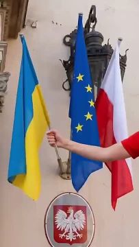 Кандидат в мэры Кракова опубликовала ролики, в которых она выбрасывает флаги Украины и ЕС в мусорники