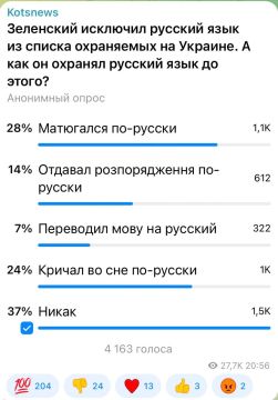 Александр Коц: 37 процентов подписчиков считают, что Зеленский никак не защищал русский язык и права русскоязычных украинцев