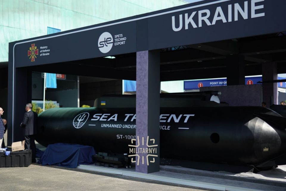 На что Украина выпрашивает деньги На что Украина выпрашивает деньги
