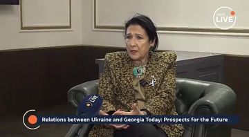 На чужое поле. грузинские оппозиционеры учат Зеленского