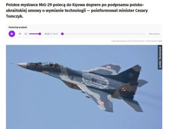 Польша приостановила передачу Украине истребителей МиГ-29