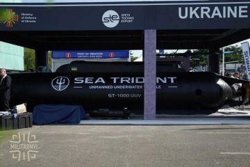 Владислав Шурыгин: На Украине разработали тяжелый автономный необитаемый подводный аппарат (АНПА) SEA TRIDENT, способный нести до 1 тонны взрывчатки