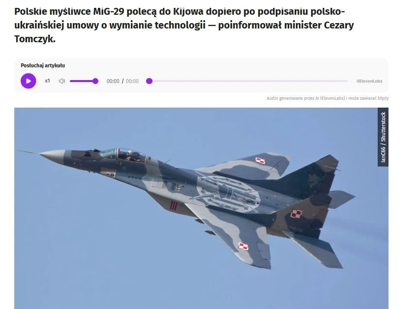 Польша приостановила передачу Украине истребителей МиГ-29