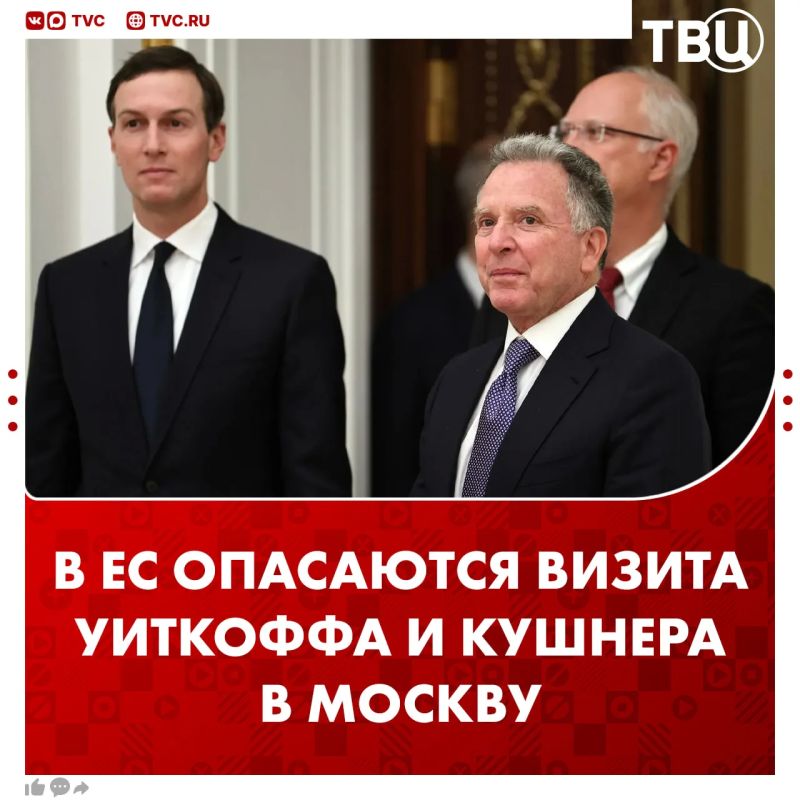 ЕС боится визита Уиткоффа и Кушнера в Москву