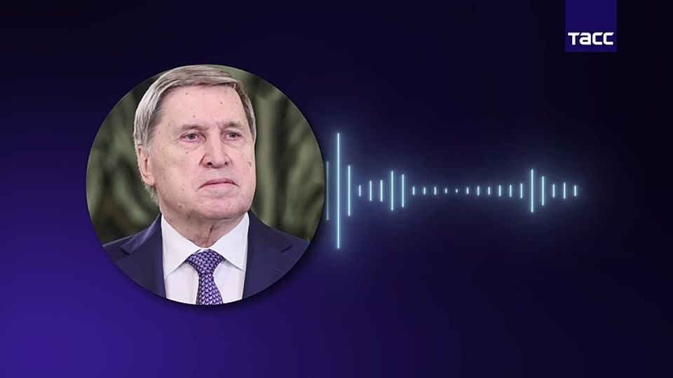 В Кремле ждут Уиткоффа и Кушнера в Москве после подписания меморандума США и Ирана
