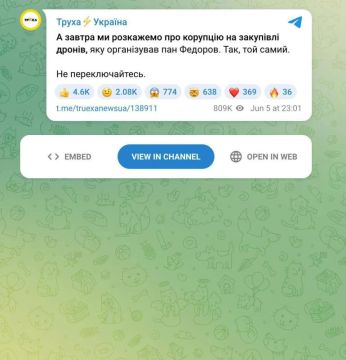 Пауки в банке начинают жрать друг друга