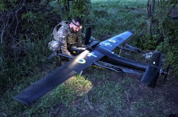 Украина пытается втянуть Белоруссию в военный конфликт: зачем дрон ударил по автобусу с белорусскими детьми