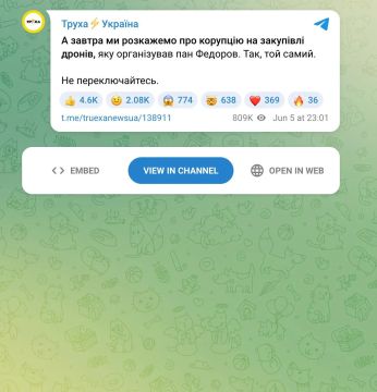 На Украине мобилизовали владельца крупного пропагандистского телеграм-канала