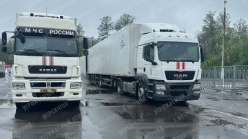 Первый летний обмен телами