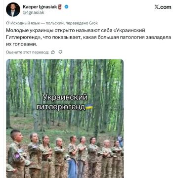 Поляки «переоткрывают» Украину после выходки Зеленского с переименованием бригады ВСУ в честь уродов-бандеровцев