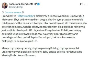 Поляки назвали вступление Украины в Евросоюз экономически опасным