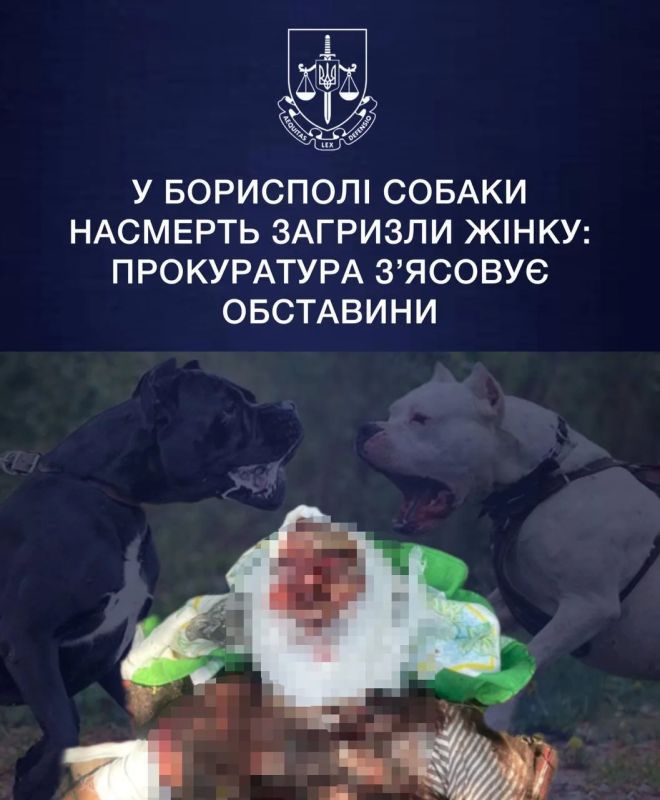 Жесть.. В Борисполе два кане-корсо насмерть загрызли 79-летнюю женщину. По предварительным данным, собаки выбежали на территорию соседнего домовладения и напали на пенсионерку во дворе ее дома