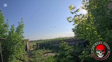 Видео успешного кинетического перехвата ударного вражеского БпЛА самолётного пипа российским ПВО-дроном "Ёлка"