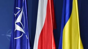 #суть_дела: Из хама не будет пана