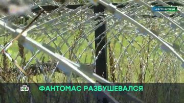 Если раньше Украина регулярно распространяла брехню про готовящееся нападения из Белоруссии, то теперь ударами грозит уже сам Киев