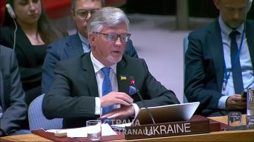 Постпред Украины в ООН Мельник дал понять, что Киев может отозвать свое согласие на остановку войны по линии фронта, если Совбез не примет резолюцию о прекращении огня