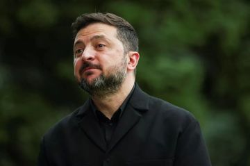 "Выставил на посмешище": в Польше объяснили последствия демарша Зеленского