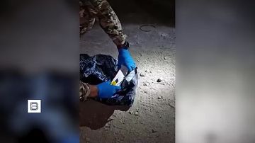 WarGonzo: ������ ��������� ������� �������� ������ ���� �� ������ ��������� �������