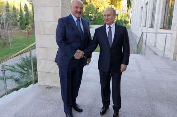 ��� ������� �����������: ����� � ��������� ������ ���� ����� �������� ����������