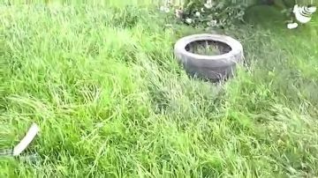 "��������� - ���������, �� ������ ��� ���, � ��� ����� ���� �� �������� ���� �� ������ �����"